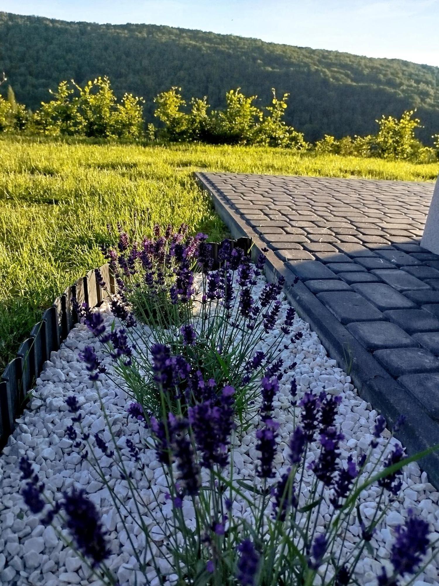 Lawendowy Klimat Villa Bobrka ภายนอก รูปภาพ